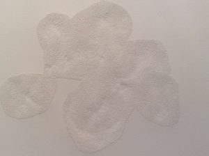 Lire la suite à propos de l’article Diana Acosta, Benoît Félix, Anne-Sophie Georges