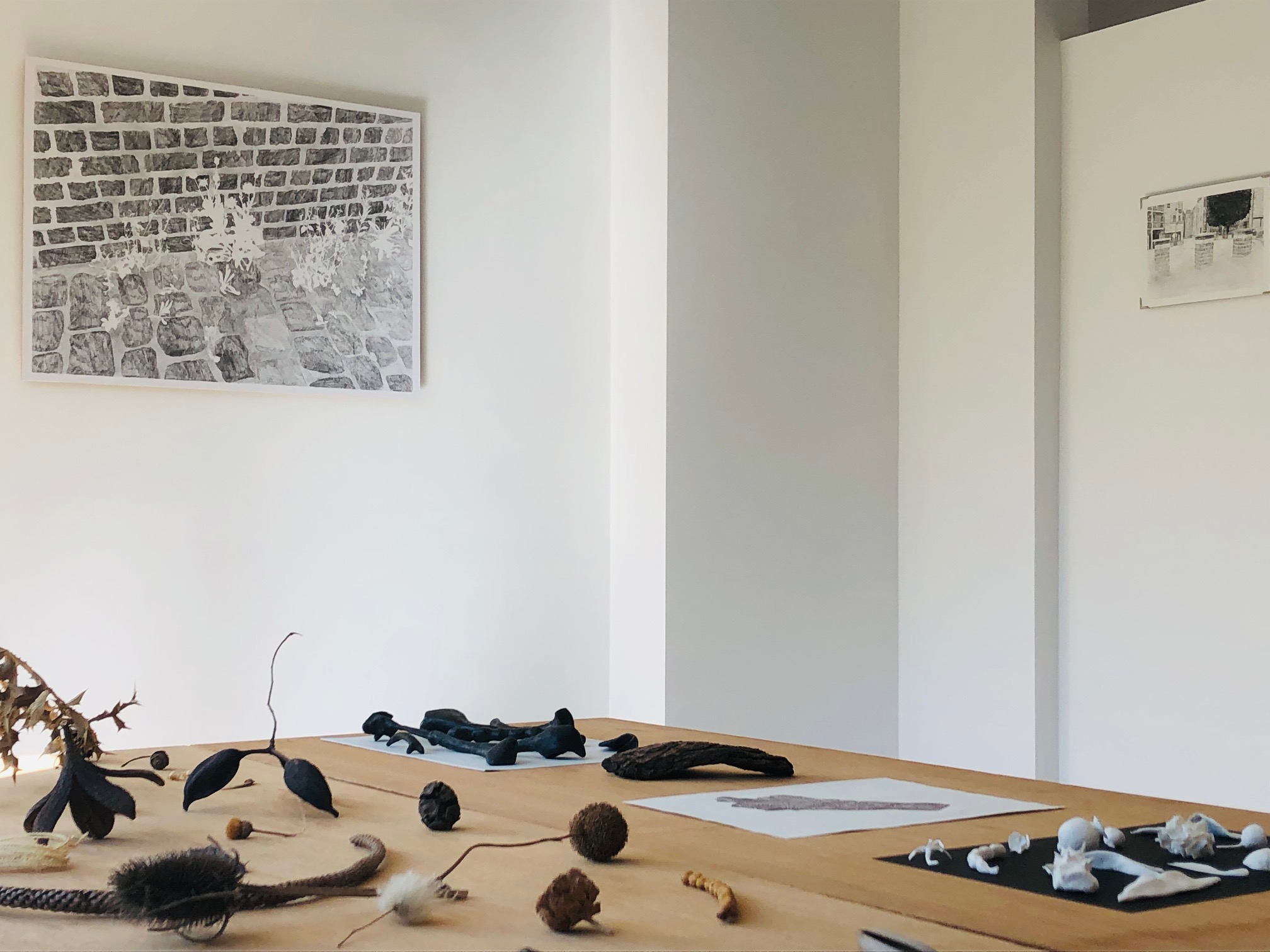 You are currently viewing Anne-Sophie de Visscher & Solène Rigaut