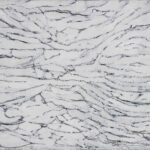 Lire la suite à propos de l’article Henri Plas hommage