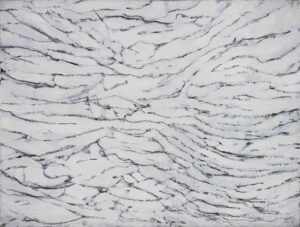 Lire la suite à propos de l’article Henri Plas hommage